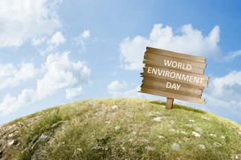 Celebrating World Environment Day 2024